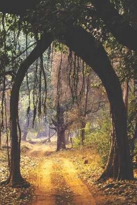 All India Women Artists’ Art Exhibition 2025