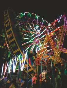 Samar Singh Virdi Art