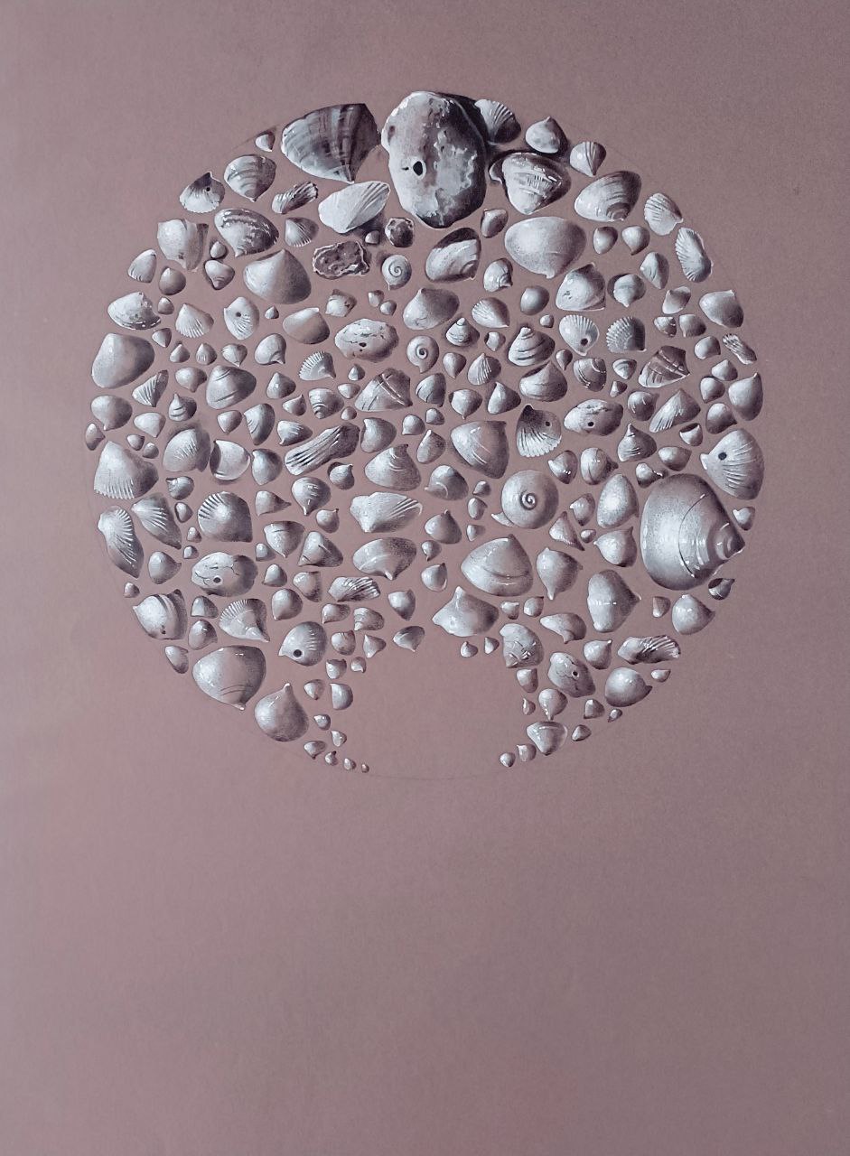 Tonal drawing showing many small seashells arranged tightly in a large circle on brown paper.